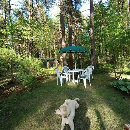 Dom wakacyjny Całoroczny Leśny Domek Letniskowy Do Wynajęcia Tarnowskie Góry