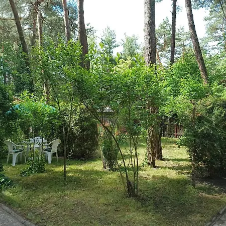 Całoroczny Leśny Domek Letniskowy Do Wynajęcia Dom wakacyjny *