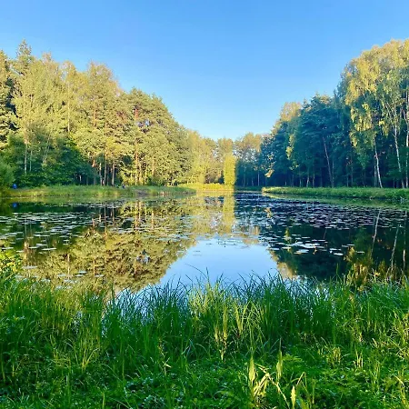 Caloroczny Lesny Domek Letniskowy Do Wynajecia Ferienhaus Tarnowskie Góry