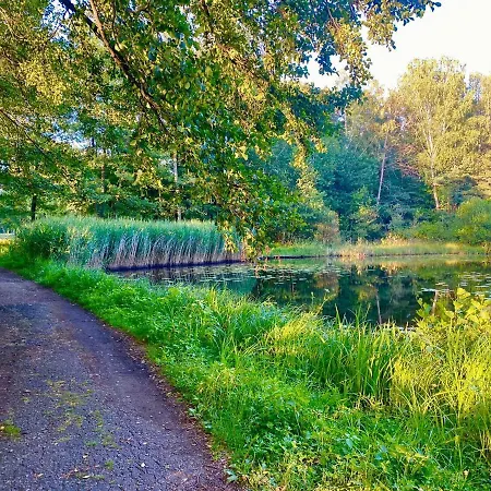 Caloroczny Lesny Domek Letniskowy Do Wynajecia Ferienhaus Tarnowskie Góry