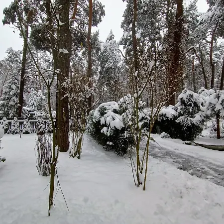 Ferienhaus Caloroczny Lesny Domek Letniskowy Do Wynajecia