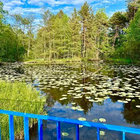 Całoroczny Leśny Domek Letniskowy Do Wynajęcia Tarnowskie Góry