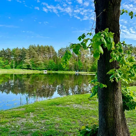 Całoroczny Leśny Domek Letniskowy Do Wynajęcia *