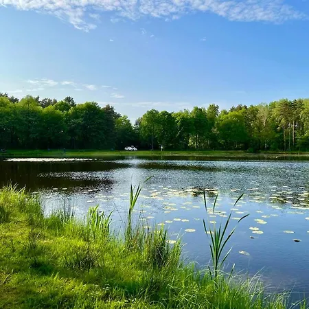 Caloroczny Lesny Domek Letniskowy Do Wynajecia Ferienhaus