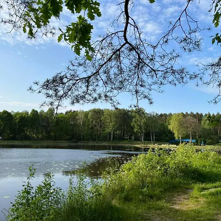 Całoroczny Leśny Domek Letniskowy Do Wynajęcia Tarnowskie Góry