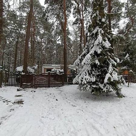 Ferienhaus Caloroczny Lesny Domek Letniskowy Do Wynajecia Tarnowskie Góry