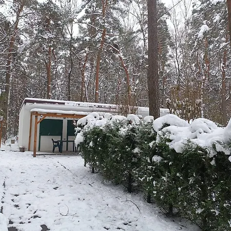 Całoroczny Leśny Domek Letniskowy Do Wynajęcia