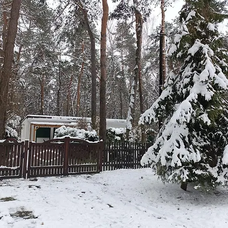 Caloroczny Lesny Domek Letniskowy Do Wynajecia Ferienhaus *