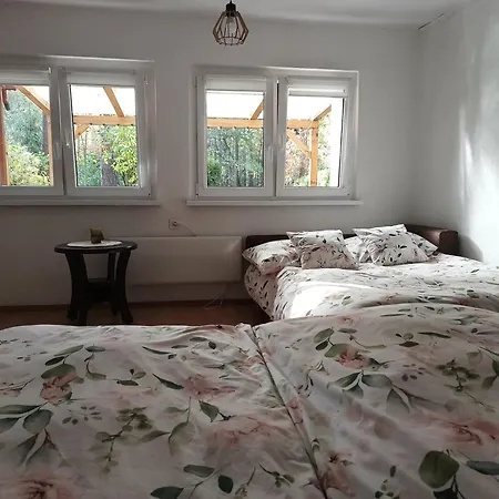 Dom wakacyjny Całoroczny Leśny Domek Letniskowy Do Wynajęcia Tarnowskie Góry