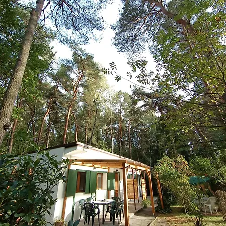 Caloroczny Lesny Domek Letniskowy Do Wynajecia Ferienhaus