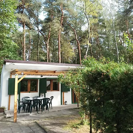 Całoroczny Leśny Domek Letniskowy Do Wynajęcia Dom wakacyjny *